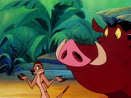 PP Timon & Pumbaa2