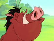 UBAE Pumbaa20