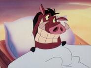 HTBTHCR Pumbaa3