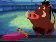 RA Timon & Pumbaa46