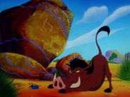 BOITO Pumbaa4