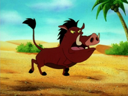 LSO Pumbaa9