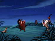 SD Timon Pumbaa & Rafiki11