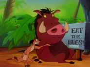 TTT Timon & Pumbaa3