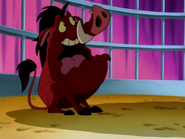 DHTVI Pumbaa3