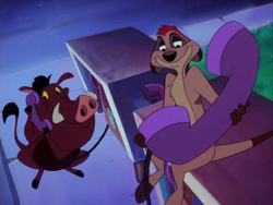 SPA Timon & Pumbaa24