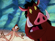 TKB Timon & Pumbaa10