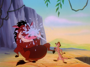 TZ Timon & Pumbaa6