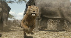 Mufasa-animationscreencaps.com-8950