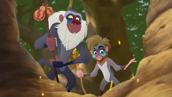 Rafiki and his apprentice, Makini, each wield a bakora staff.