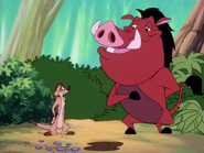 JS Timon & Pumbaa5