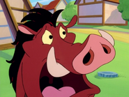 SM Pumbaa5