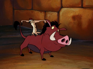 DBTC Timon & Pumbaa16