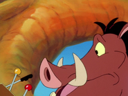 MB Pumbaa5