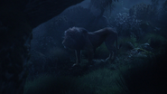 Lionking2019-animationscreencaps.com-9950