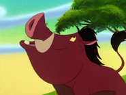 TSIC Pumbaa10