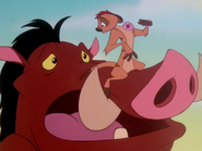 TZ Timon & Pumbaa3