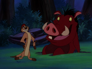 YR Timon & Pumbaa43