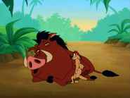 SHO Timon & Pumbaa38