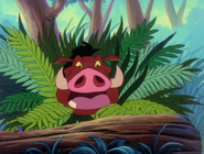 TZ Pumbaa15