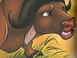 Kula (cape buffalo)