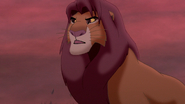 Lion-king2-disneyscreencaps.com-4283