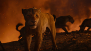 Lionking2019-animationscreencaps.com-11787