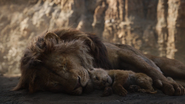 Lionking2019-animationscreencaps.com-5300