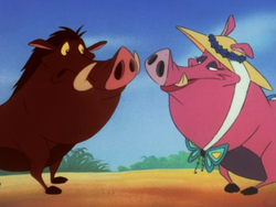 MAY Pumbaa & Rosebud