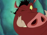 TSIC Pumbaa12