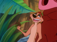 TZ Timon & Pumbaa8