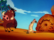 BOITO Timon & Pumbaa23