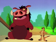 IB Timon & Pumbaa8