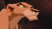 Lion-king2-disneyscreencaps.com-3110