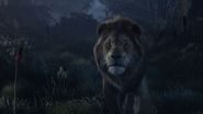 Lionking2019-animationscreencaps.com-9892