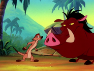 PP Timon & Pumbaa8