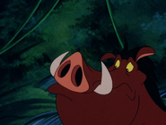 TLST Pumbaa4