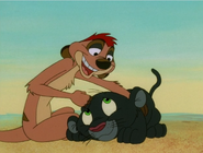 UIL Timon & panther5