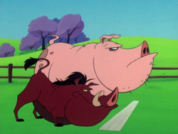 AB Pumbaa & Pig4