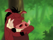 IB Pumbaa7