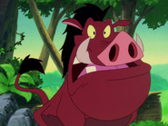 OTB Pumbaa7