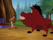 YR Timon & Pumbaa19