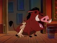 WA Timon & Pumbaa2