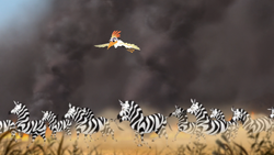 Ono leads a herd of zebras away from a brush fire.
