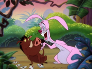 AD Pumbaa & Rabbit2