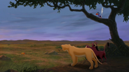 Lion-king2-disneyscreencaps.com-6503