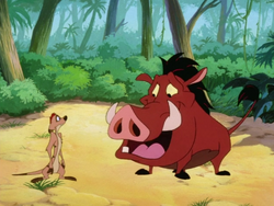 UBAE Timon & Pumbaa8