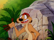 HEFY Timon2