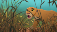 Lion-king2-disneyscreencaps.com-3374