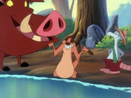 OB Timon Pumbaa & Boudreaux24